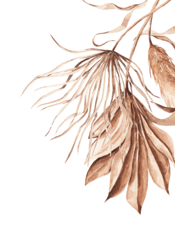 02 13.png