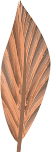 a01.png