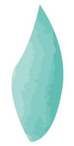 waterflower 8 strip.png